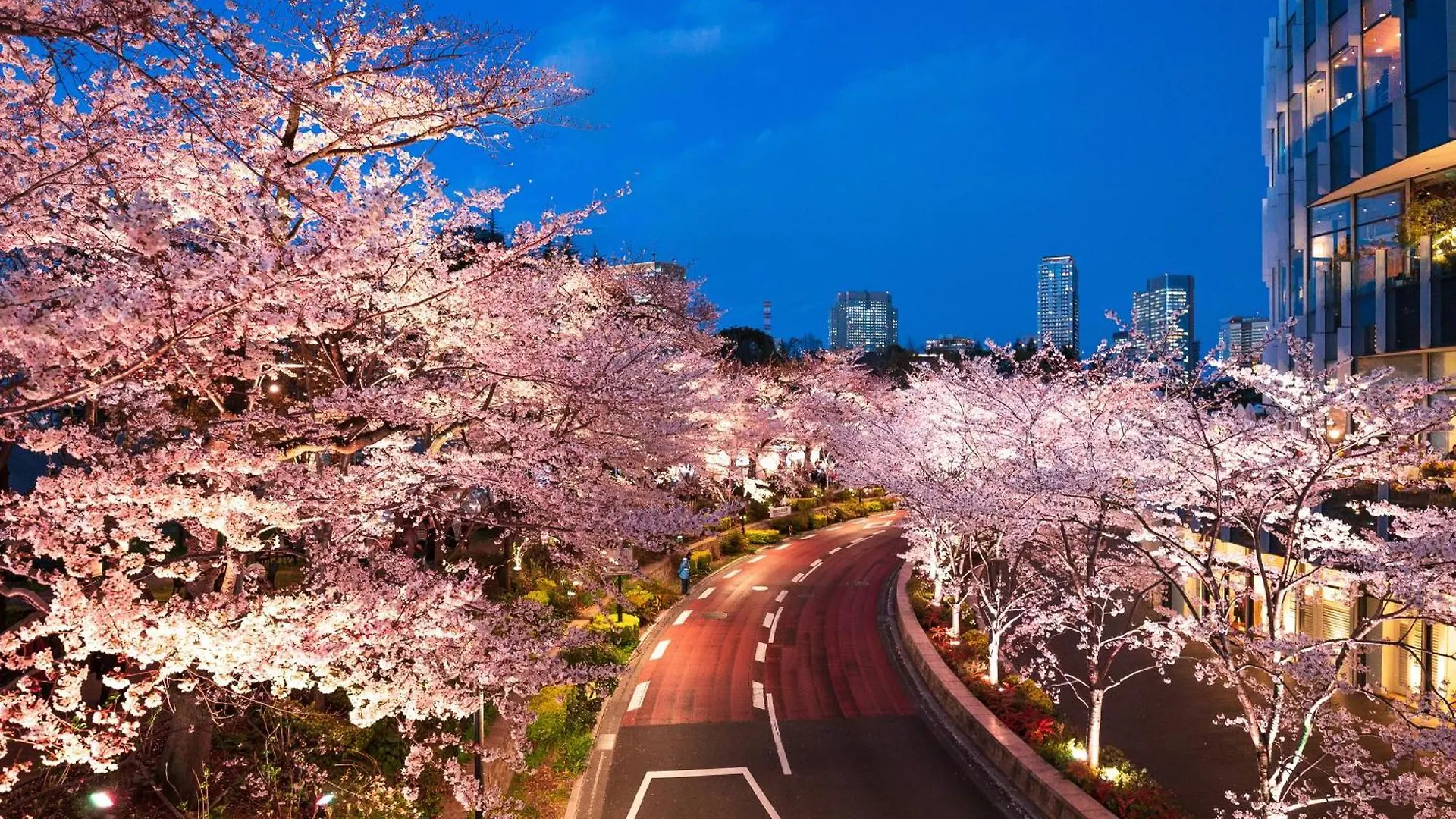Отель Mimaru Tokyo Akasaka